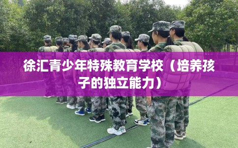 徐汇青少年特殊教育学校(培养孩子的独立能力) 徐汇青少年特殊教育学校(培养孩子的独立能力)