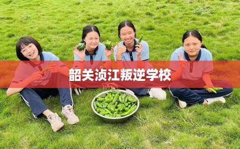 韶关浈江叛逆学校