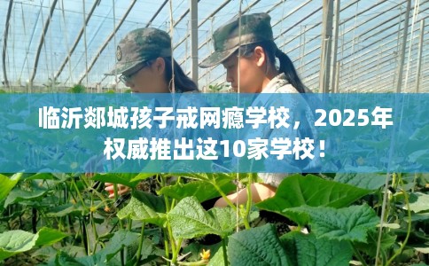 临沂郯城孩子戒网瘾学校，2025年权威推出这10家学校！