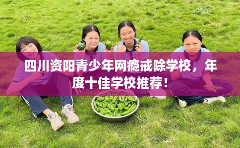 四川资阳青少年网瘾戒除学校，年度十佳学校推荐！
