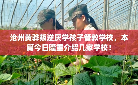 沧州黄骅叛逆厌学孩子管教学校，本篇今日隆重介绍几家学校！