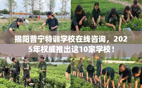 揭阳普宁特训学校在线咨询，2025年权威推出这10家学校！