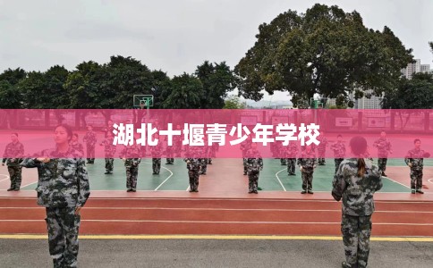 湖北十堰青少年学校