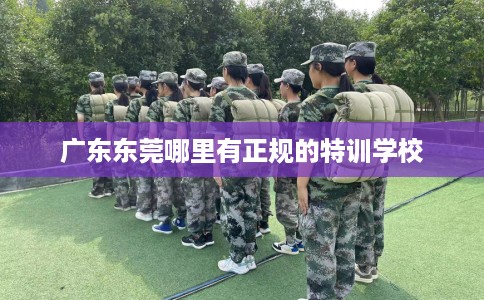 广东东莞哪里有正规的特训学校