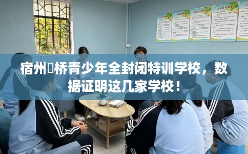 宿州埇桥青少年全封闭特训学校，数据证明这几家学校！