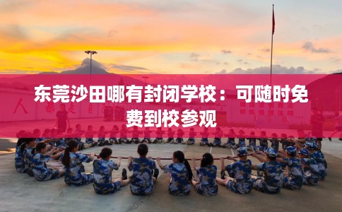 东莞沙田哪有封闭学校：可随时免费到校参观