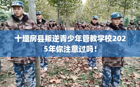 十堰房县叛逆青少年管教学校2025年你注意过吗！