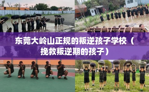 东莞大岭山正规的叛逆孩子学校（挽救叛逆期的孩子）