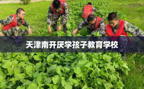 天津南开厌学孩子教育学校