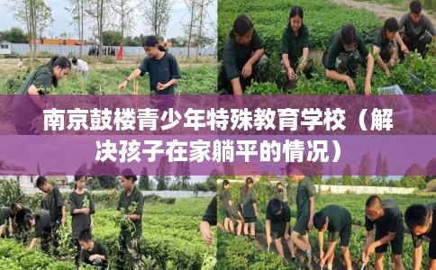 南京鼓楼青少年特殊教育学校（解决孩子在家躺平的情况）