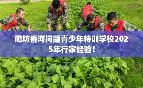 廊坊香河问题青少年特训学校2025年行家经验！