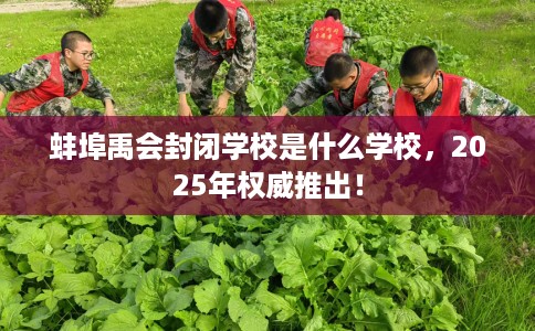 蚌埠禹会封闭学校是什么学校，2025年权威推出！