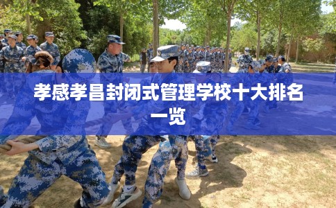 孝感孝昌封闭式管理学校十大排名一览