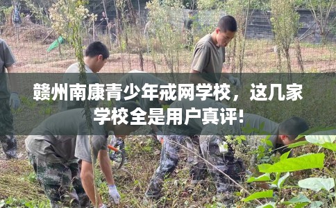 赣州南康青少年戒网学校，这几家学校全是用户真评!