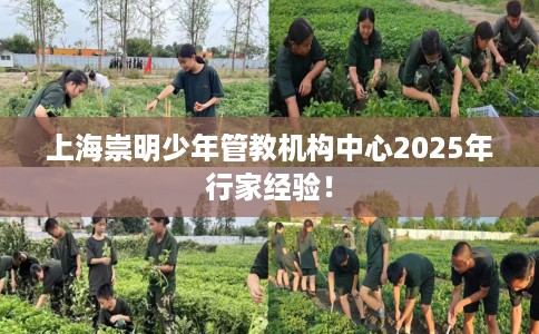 上海崇明少年管教机构中心2025年行家经验！