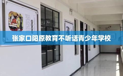 张家口阳原教育不听话青少年学校 张家口阳原教育不听话青少年学校