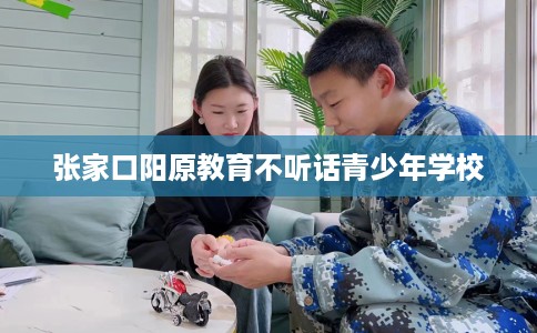 张家口阳原教育不听话青少年学校 张家口阳原教育不听话青少年学校