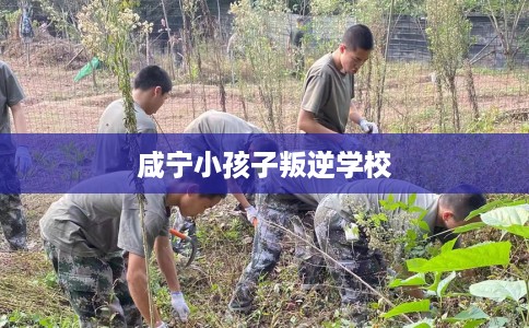 咸宁小孩子叛逆学校