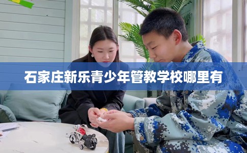 石家庄新乐青少年管教学校哪里有 石家庄新乐青少年管教学校哪里有