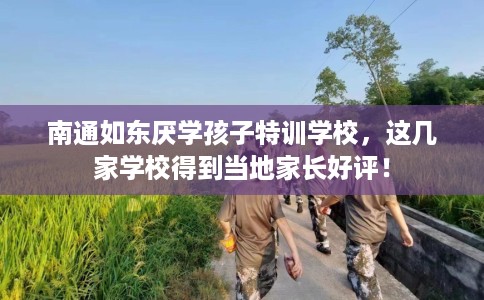 南通如东厌学孩子特训学校，这几家学校得到当地家长好评！