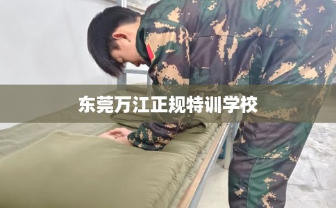 东莞万江正规特训学校 东莞万江正规特训学校