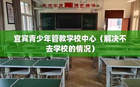 宜宾青少年管教学校中心（解决不去学校的情况）