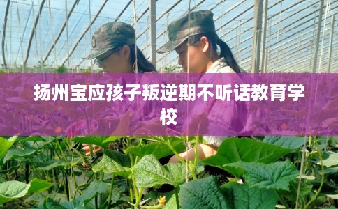 扬州宝应孩子叛逆期不听话教育学校