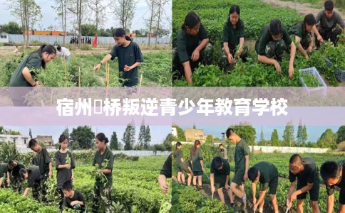 宿州埇桥叛逆青少年教育学校