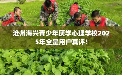 沧州海兴青少年厌学心理学校2025年全是用户真评! 沧州海兴青少年厌学心理学校2025年全是用户真评!