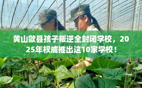 黄山歙县孩子叛逆全封闭学校，2025年权威推出这10家学校！