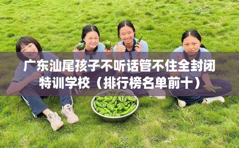 广东汕尾孩子不听话管不住全封闭特训学校（排行榜名单前十）