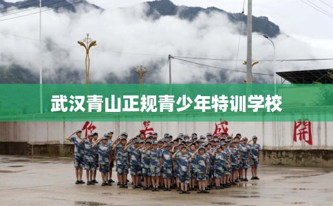 武汉青山正规青少年特训学校