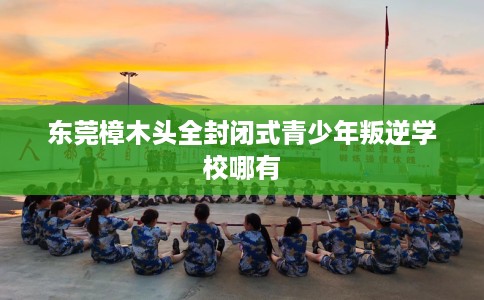 东莞樟木头全封闭式青少年叛逆学校哪有