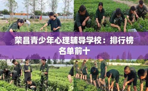 荣昌青少年心理辅导学校：排行榜名单前十