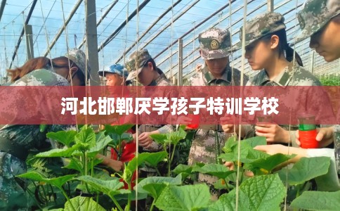 河北邯郸厌学孩子特训学校