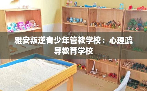 雅安叛逆青少年管教学校：心理疏导教育学校