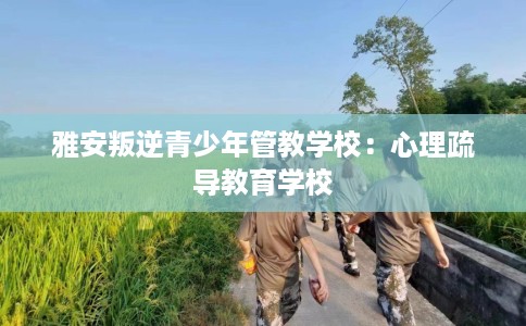 雅安叛逆青少年管教学校：心理疏导教育学校