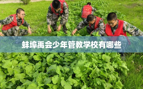 蚌埠禹会少年管教学校有哪些