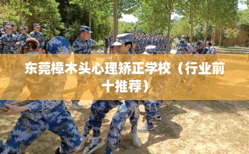 东莞樟木头心理矫正学校(行业前十推荐) 东莞樟木头心理矫正学校(行业前十推荐)