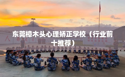 东莞樟木头心理矫正学校(行业前十推荐) 东莞樟木头心理矫正学校(行业前十推荐)