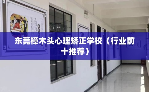 东莞樟木头心理矫正学校(行业前十推荐) 东莞樟木头心理矫正学校(行业前十推荐)
