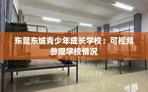 东莞东城青少年成长学校：可视频参观学校情况