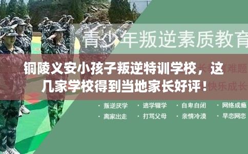 铜陵义安小孩子叛逆特训学校，这几家学校得到当地家长好评！