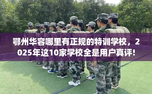 鄂州华容哪里有正规的特训学校，2025年这10家学校全是用户真评!