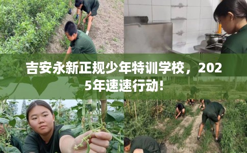 吉安永新正规少年特训学校,2025年速速行动! 吉安永新正规少年特训学校,2025年速速行动!