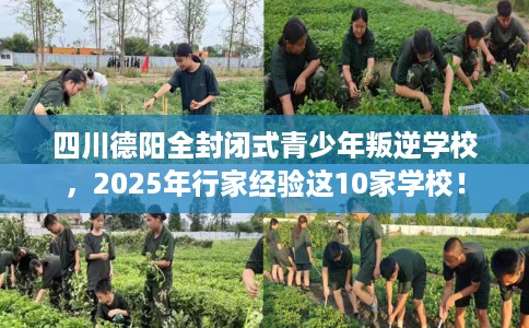 四川德阳全封闭式青少年叛逆学校，2025年行家经验这10家学校！