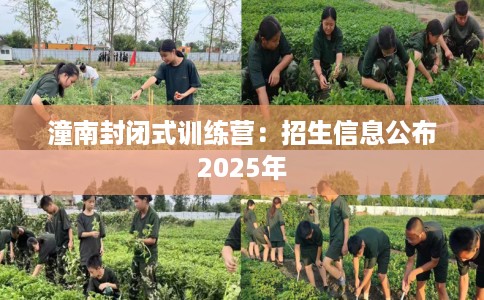 潼南封闭式训练营：招生信息公布2025年