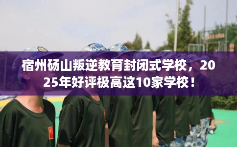 宿州砀山叛逆教育封闭式学校，2025年好评极高这10家学校！
