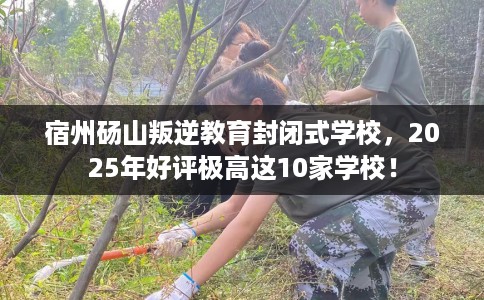 宿州砀山叛逆教育封闭式学校，2025年好评极高这10家学校！