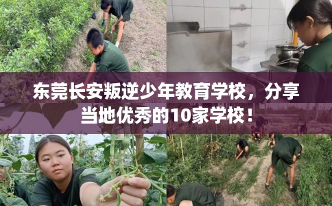 东莞长安叛逆少年教育学校，分享当地优秀的10家学校！